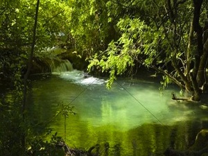 Avrupa suları kimyasal madde dolu