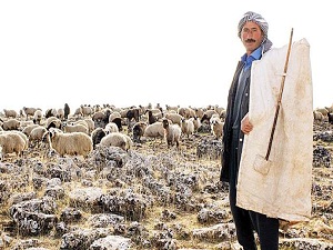 Küçük çiftçiye büyük destek