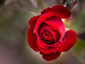 Güzel konuşma çok laf etmek değildir