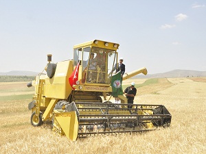 TZOB Başkanı Bayraktar: Bu yıl çiftçinin tarlasına adeta ateş düştü