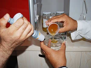 Gerçek ve sahte balı 30 dakikada belirleyecekler