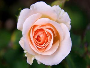 Harcamaya, geçimi sana ait olanlardan başla