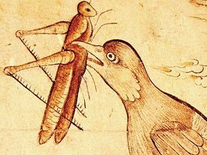 Osmanlı, çekirge istilasına karşı sığırcık kuşlarını kullanmış