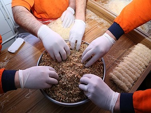 En tatlı ramazan mesaisi