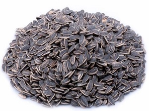 Ay çiçeği tok tutuyor