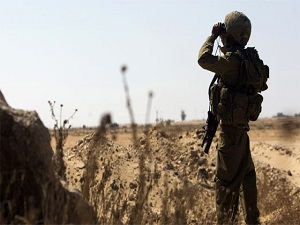 İsrail zeytin ağaçlarını söküyor