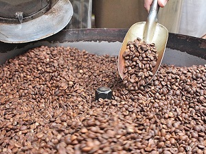 Kahvenin getirisi altını 5'e katladı