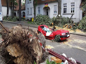 Almanya'daki kasırganın faturası 650 milyon Avro