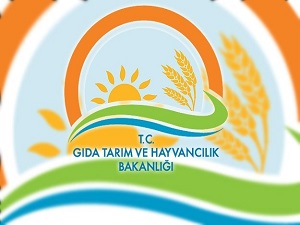 Taklit ve tağşiş yapan firmalar açıklandı