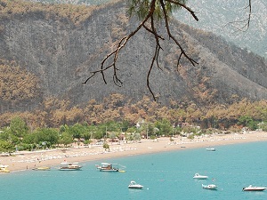 Adrasan'a ilk fidan sonbaharda dikilecek