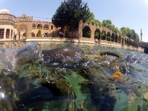 Balıklıgöl su altında görüntülendi