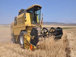 Hububatta bir iyi bir kötü haber