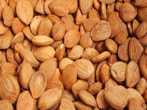 Kayısı Gibi Çekirdeği de Yok Satıyor