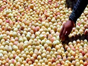 Memurun 10-20 yılda kazandığını 1 yılda kazanacak