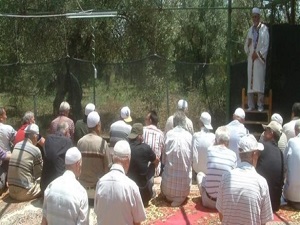 Cami yok cumalar ve teravih zeytinlikte kılınıyor