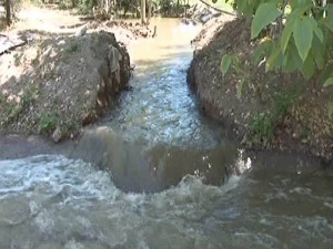 Kuraklık vurdu, çiftçi tarlayı kanalizasyonla suladı