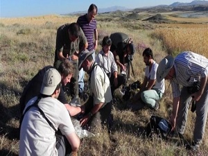 Turnalara çipli takip