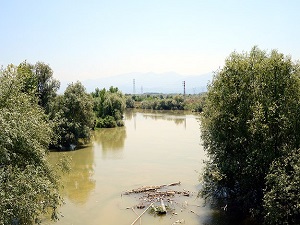 İstanbul'daki barajlarda doluluk %22,18
