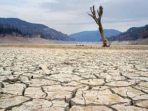 Medya, kuraklığa duyarsız kalamadı