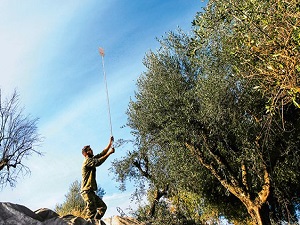 500 bin ailenin geçim kapısı tehlikede