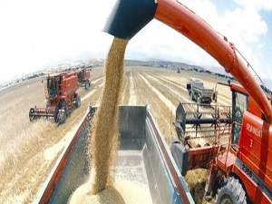 Tarım üretici fiyatları düştü