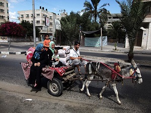 Gazzeliler saldırılardan kaçıyor