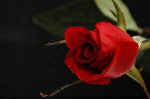 Rabbinden dünyada ve ahirette sana afiyet verildiğinde