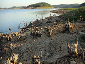 İstanbul barajlarının son hali