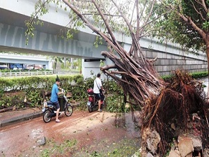 Tayfun Çin'e kök söktürdü