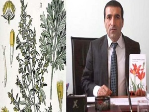 Bitki zenginliğimiz değerlendirilemiyor