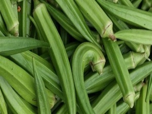 Bamya altın yılını yaşıyor