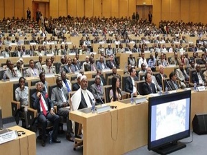 Afrika işsizlik sorununa çözüm arıyor