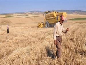 Besicilere kuraklık darbesi