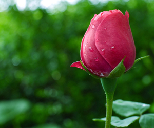 Duaların en hayırlısı Arefe gününde yapılandır