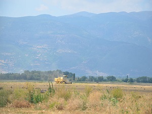 Akşehir Gölü kurudu, tarla oldu