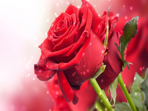 Eğleneceğiniz iki günden biri Ramazan Bayramıdır