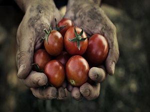Birazcık zehirden zarar gelmez!