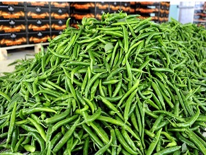 Temmuzda en çok sivri biberin fiyatı arttı