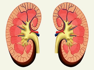 Yüksek tansiyon böbrekleri tehdit ediyor!