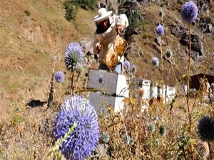 Çözüm süreci Doğu'yu ballandırdı
