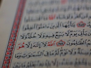 Allah, kullarından elbette hakkıyla haberdardır