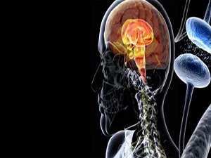 Bu tümörün erkekte daha fazla görülme nedeni