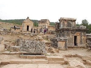 Bilim insanlarından dünya mirasında 100 yıllık keşif