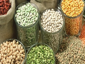 Hububat alım fiyatı 1050 liraya çıktı