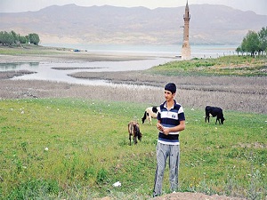 Suları çekilen Karakaya Barajı da artık tarım alanı