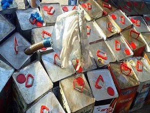 10 numara yağ, balık neslini yok ediyor