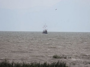 Korkutan görüntü: Rengi değişti!