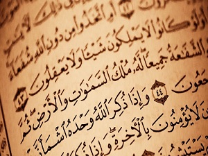 Ortaklarınız, yerden neyi yarattılar, bana gösterin!