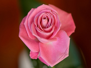 Allah'a en sevimli eviniz...