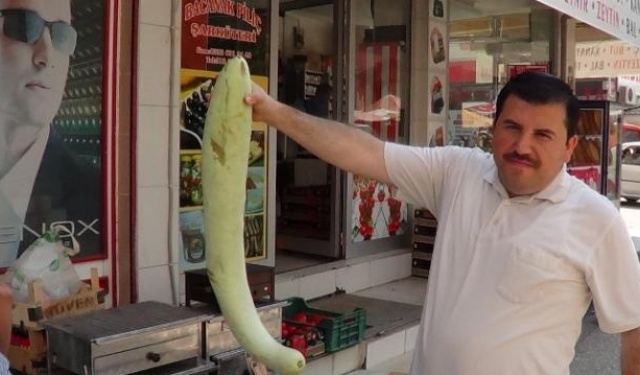 Balık değil, kabak !